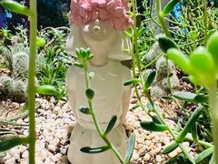 -春树下·树屋花房西餐厅(罍街AS1980店)