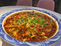 -新概念来凤鱼(璧山店)