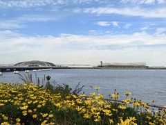 -上海吴淞炮台湾国家湿地公园