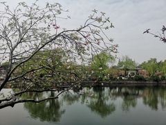 -无锡蠡湖国家湿地公园-蠡园