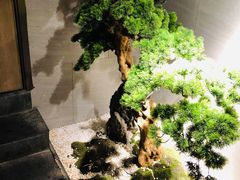 -花园茶楼(兴城西路店)