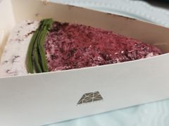 一只杨梅益生菌风味蛋糕-EVERNAKED裸蛋糕(SOHO天山店)