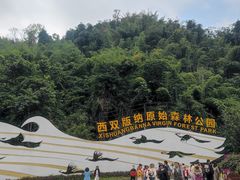 -西双版纳原始森林公园