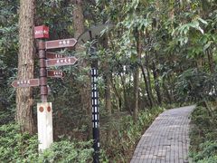 -铁山坪森林公园