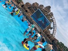 -美的鹭湖探索王国