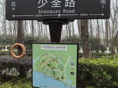 -合肥滨湖国家森林公园
