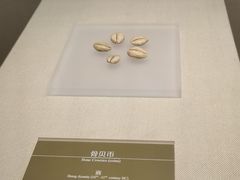-嘉定博物馆