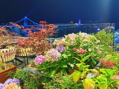 -川旺角川粤融合菜•海景餐厅(星海广场店)