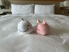 -三亚亚特兰蒂斯度假区