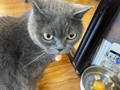 -春笙食堂.丼饭拉面寿司(GOGO新天地店)