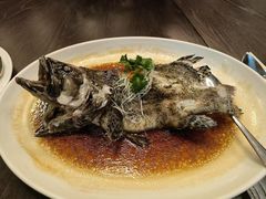 -长春凯悦酒店-品悦中餐厅