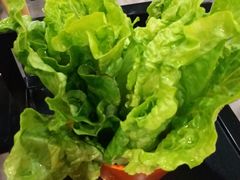 -古乐牛香·鲜牛肉牛杂火锅(五一中路店)