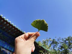 -北京市府学胡同小学