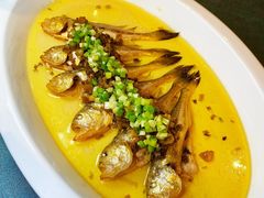 -新光酒家·河豚·海鲜·蟹料理(浦东店)