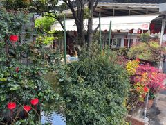 -瑞丰园庭院餐厅·白族传统家常菜