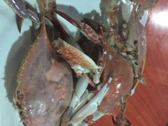 沈家门海鲜夜排挡1-67号档口-沈家门海鲜夜排档(东港店)