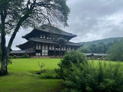 -奈良公园