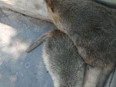 -临沂动植物园
