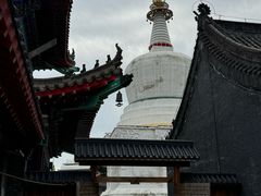 -西塔