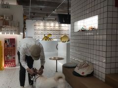 -柴务处·柴犬主题狗咖