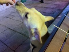 -疆里疆外·和田烤肉·清真