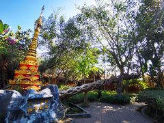 -瑞丽独树成林风景区