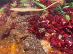 -老板恋上鱼(高新万达店)