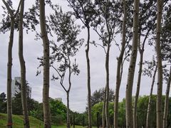 -元大都城垣遗址公园