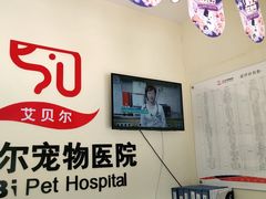 -艾贝尔宠物医院 ·内科全科(梁溪路店)