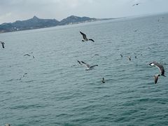 -海驴岛(荣成市)