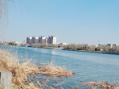 -天津东丽湖风景区