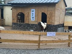 -HERRE·FARM 赫尔露营农场·团建聚会包场