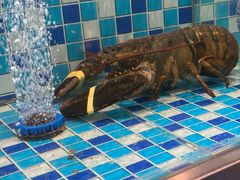 -小时候文化餐厅(盘山店)