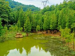 -广州市帽峰山景区