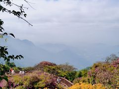 -广州市石门国家森林公园