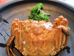 -沪小胖小龙虾(淮海中路旗舰店)