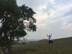 -塞罕坝国家级自然保护区