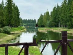 -黄海国家森林公园