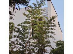 -坂田手造文化街