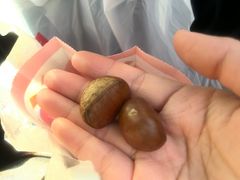 -阿男野栗王(金门路店)