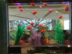 -成都世纪城假日酒店-西楼