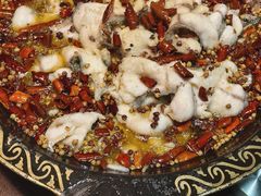 -金三可市井水煮鱼(金碧园店)