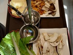 -蘑统田下·野生菌火锅