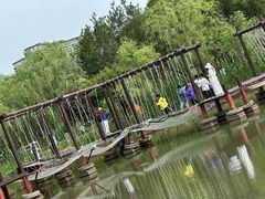 -长兴太湖图影湿地文化园