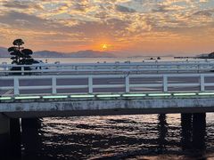 -演武大桥观景平台
