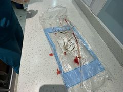 -纳吉亚猫专科动物医院·北北分院