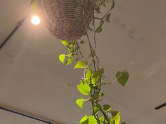 -懒人盐府人家·自贡大麻鱼(安贞店)