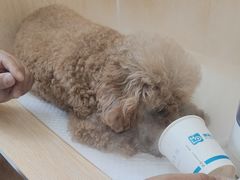 -美联众合动物医院·24h京西诊疗中心