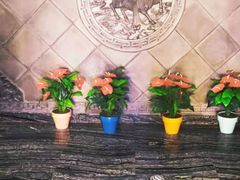 -若石足道SPA 连锁(丹东街店)