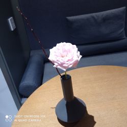 -FineYoga梵音瑜伽·普拉提